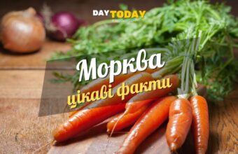 Цікаві факти про моркву