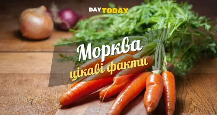 Цікаві факти про моркву