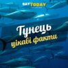 Цікаві факти про тунця