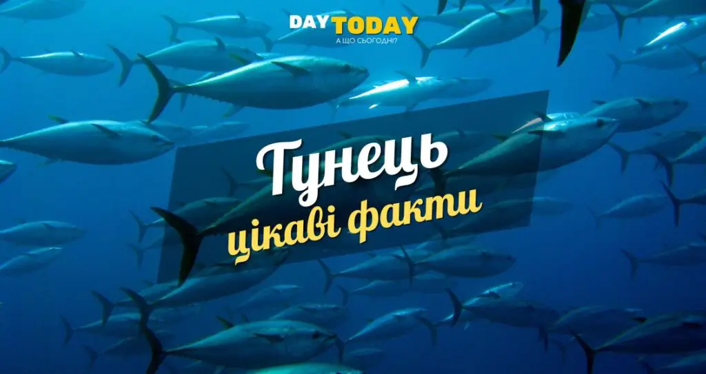 Цікаві факти про тунця
