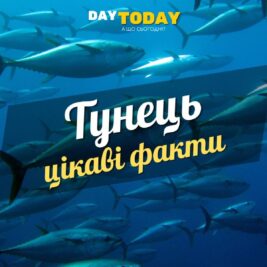Цікаві факти про тунця