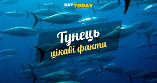 Цікаві факти про тунця