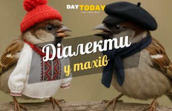 Діалекти у птахів