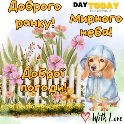 Доброго ранку! Доброї погоди! картинка з квітами та собачкою у плащі | Вітальна листівка - Доброго ранку - Добрий день - Теплі листівки