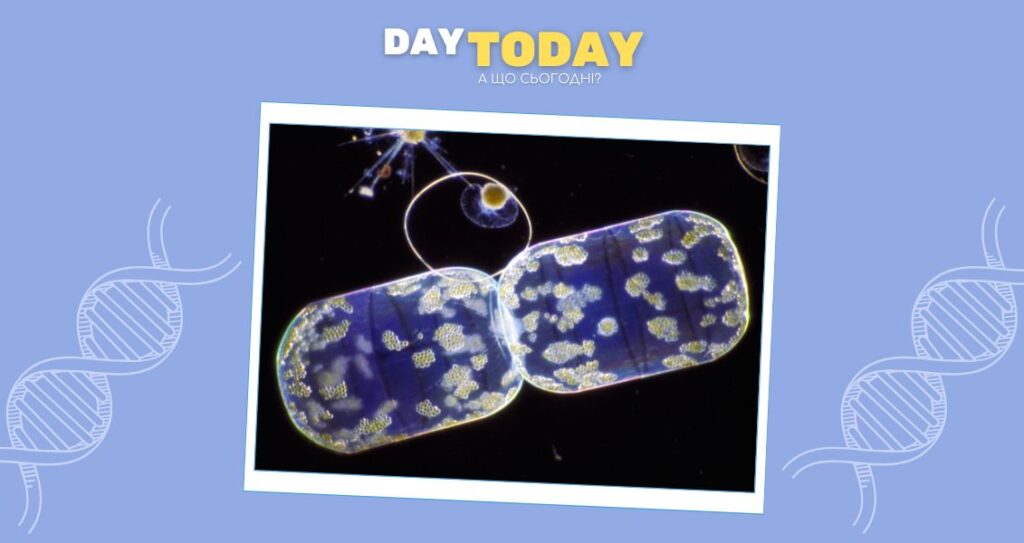 "Егоїстичні" гени: виявлено ключовий механізм зростання генетичної складності