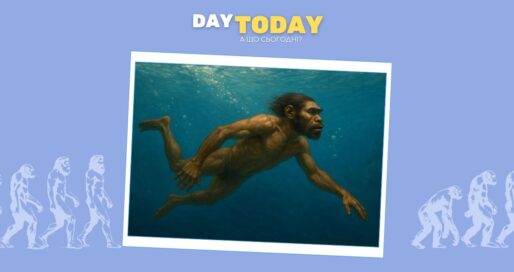 Рештки Homo erectus на дні моря дають нові дані про вимерлу популяцію