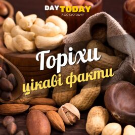 Цікаві факти про горіхи