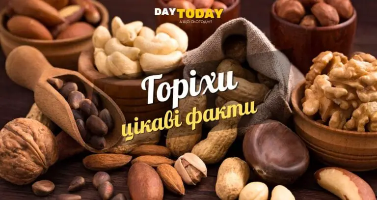 Цікаві факти про горіхи