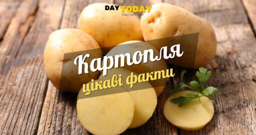 Цікаві факти про картоплю