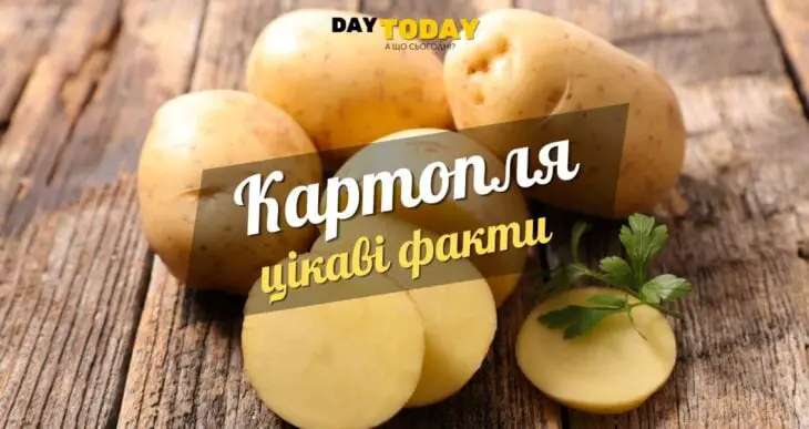 Цікаві факти про картоплю