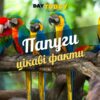 Цікаві факти про папуг