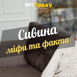 Міфи та правда про сиве волосся