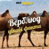Цікаві факти про верблюдів
