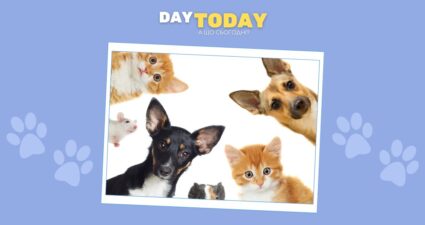 Ходімо далі? Наступна стаття