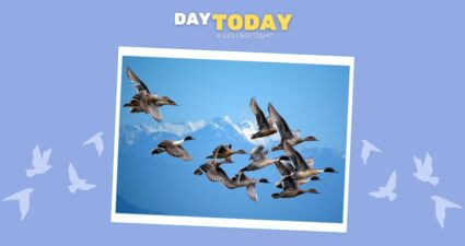 Ходімо далі? Наступна стаття