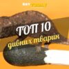 10 дивних тварин, у чиє існування важко повірити