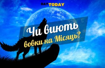 Чи виють вовки на місяць?