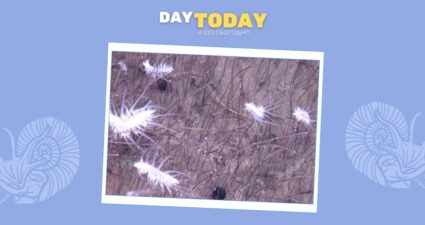 Ходімо далі? Наступна стаття