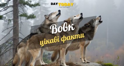 Ходімо далі? Наступна стаття