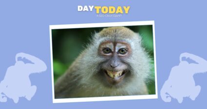 Ходімо далі? Наступна стаття