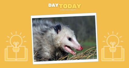 Ходімо далі? Наступна стаття