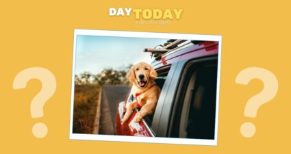 Ходімо далі? Наступна стаття