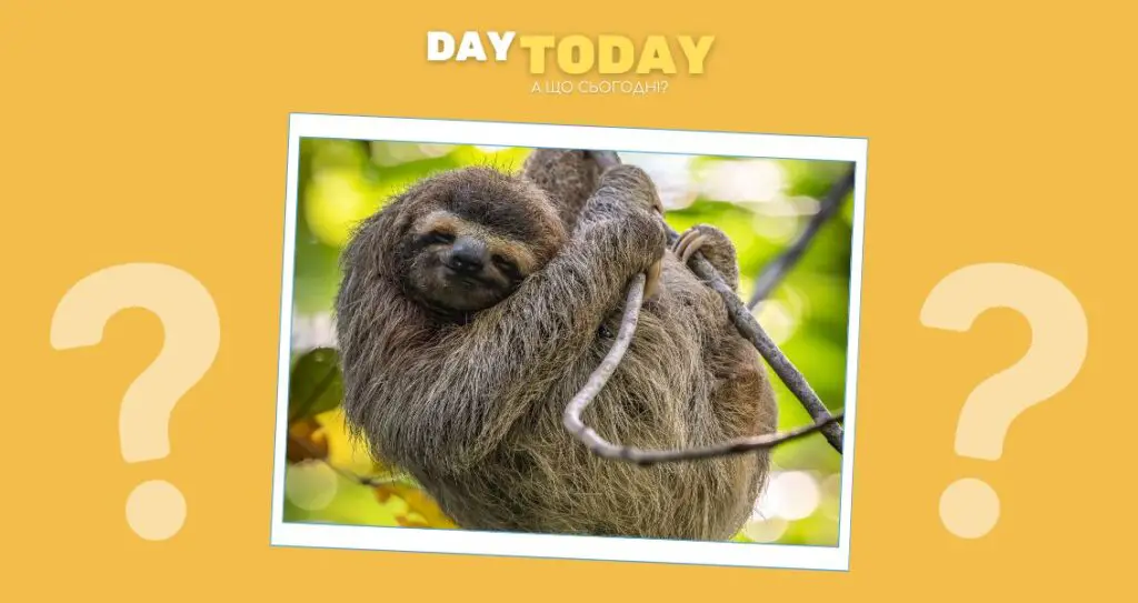 Чому лінивці такі повільні?