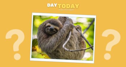 Ходімо далі? Наступна стаття