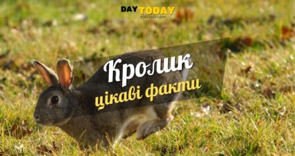 Ходімо далі? Наступна стаття