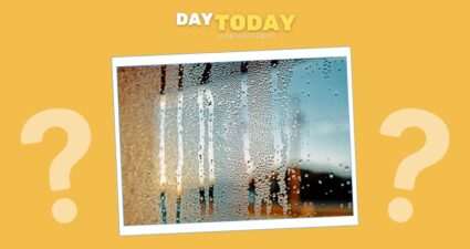 Ходімо далі? Наступна стаття