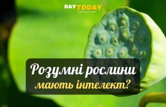 10 таємниць інтелекту рослин
