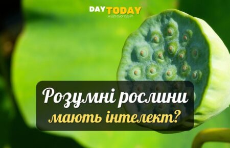 10 таємниць інтелекту рослин
