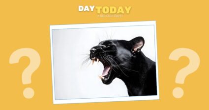 Ходімо далі? Наступна стаття