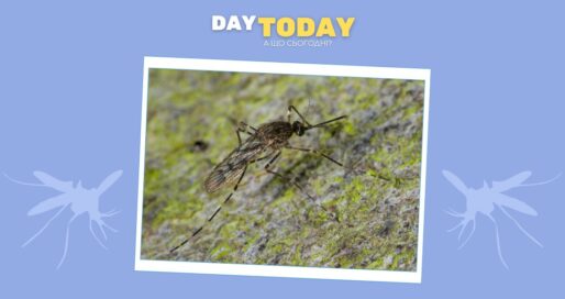Комарі почали з'являтися в одному з останніх місць на Землі, де їх раніше не було