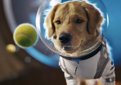 Ходімо далі? Наступна стаття