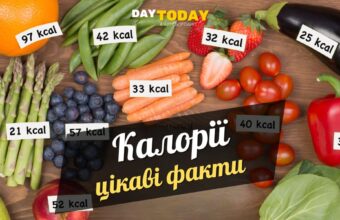 10 цікавих фактів про калорії