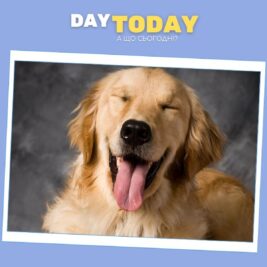 Люди та золотисті ретривери мають несподіваний генетичний зв’язок