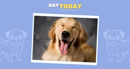 Ходімо далі? Наступна стаття