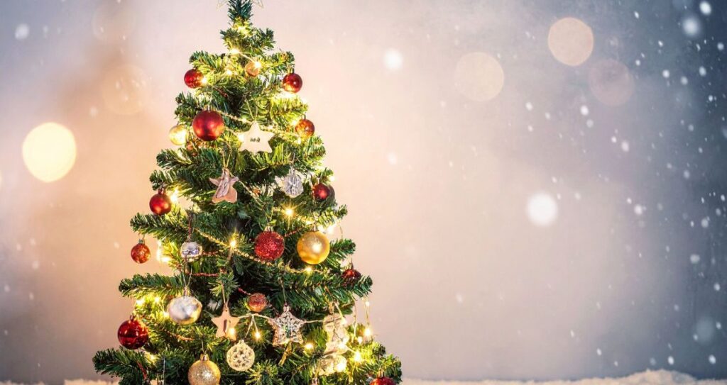Різдво ялинка