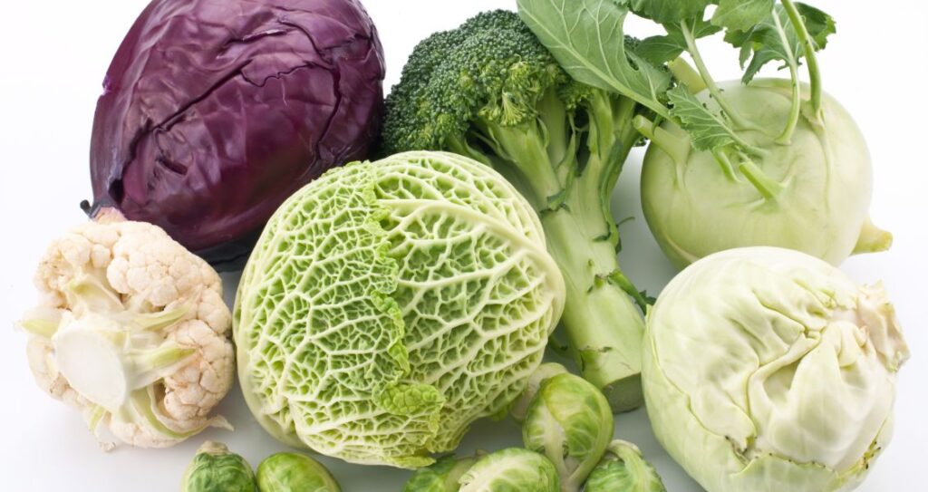 Всесвітній день капусти