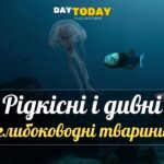 5 рідкісних глибоководних істот, в існування яких важко повірити