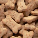 Міжнародний день собачого печива