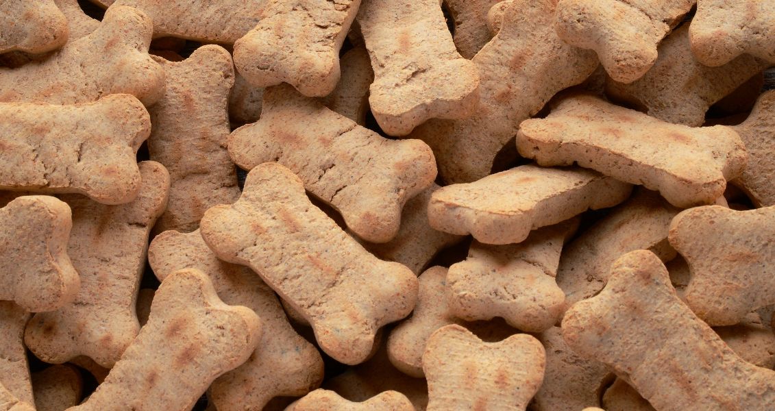 Міжнародний день собачого печива