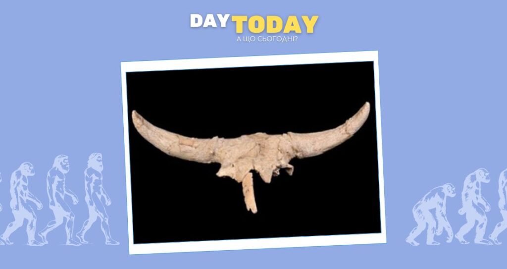 Таємниця рогатих черепів у печері неандертальців