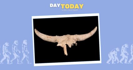 Ходімо далі? Наступна стаття