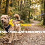 День собак у жовтому
