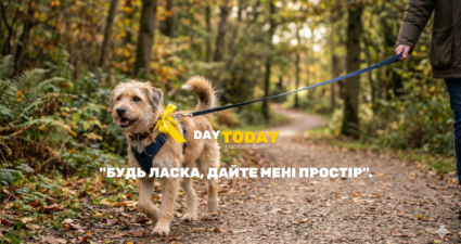 День собак у жовтому