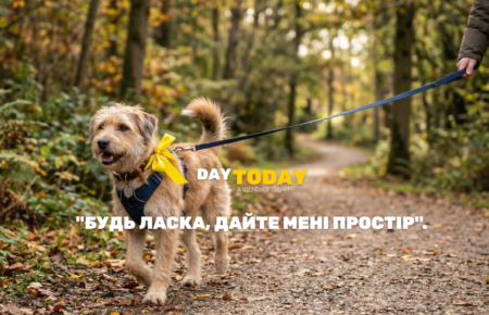 День собак у жовтому