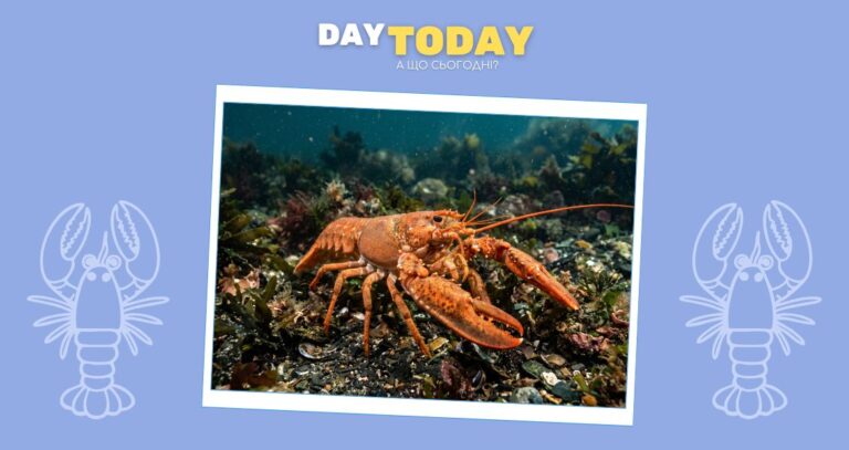 Чи відчувають омари біль: нові докази науковців