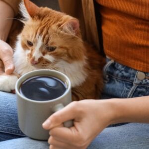 День «котячої леді»